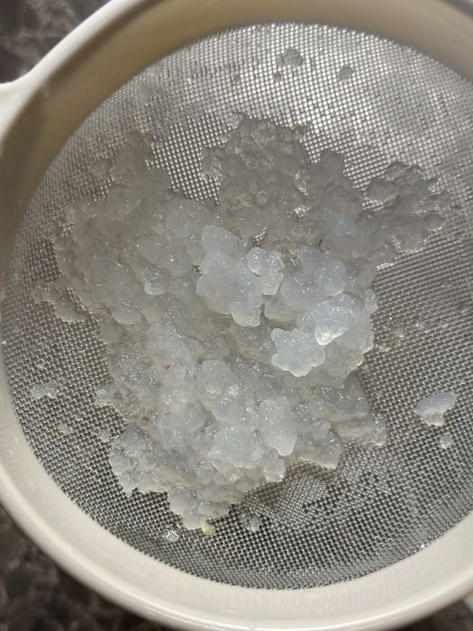 Продам рисовый гриб (индийский морской рис)