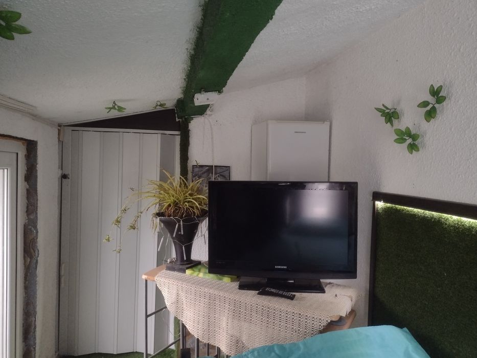 Inchiriez ap la casa pt 1 singura persoana plus o pisica sau un catel talie mica