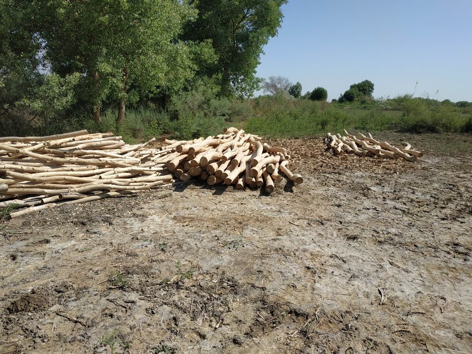 Жайдың төбесин бастырыўға жуўан торанғыллар сатылады