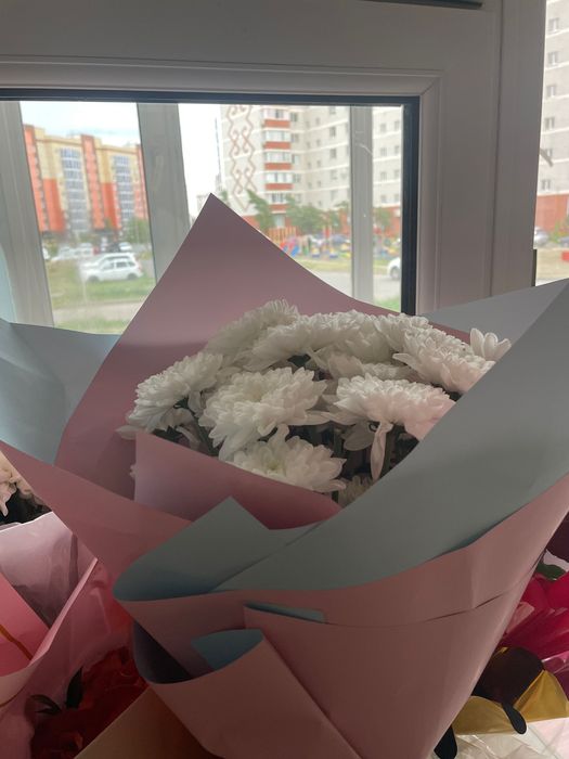 Ромашки,Роза и.т.д