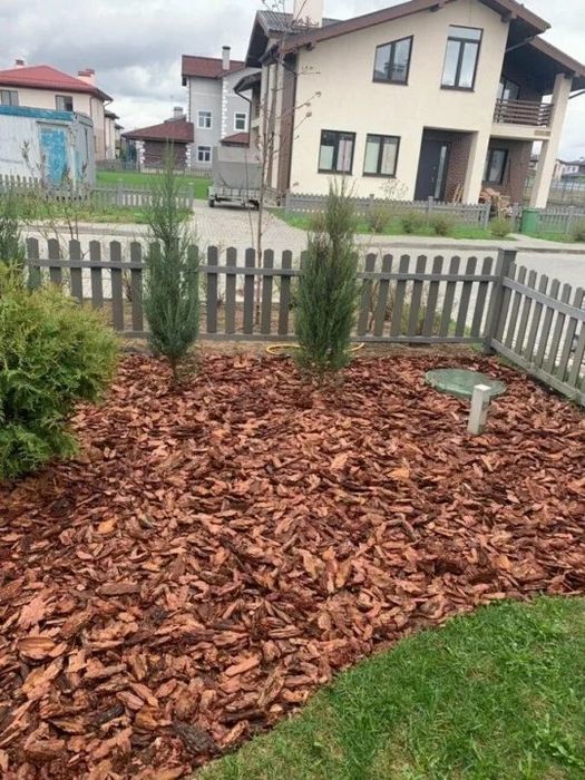 Кора сосны дривесная  мульча