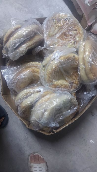 Дила животных липлошка*