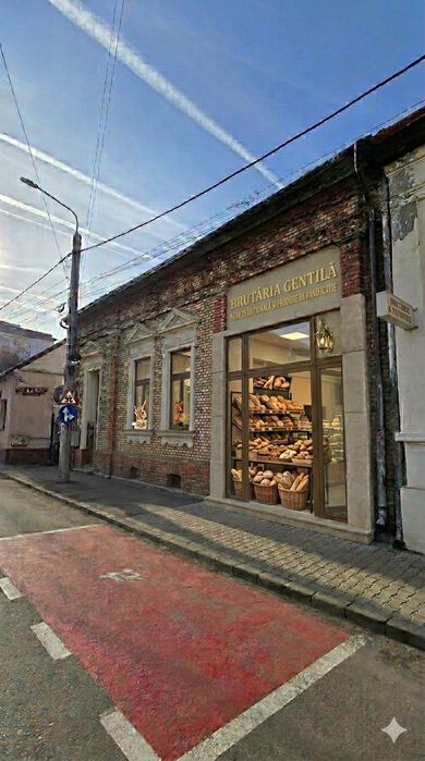 Casă de Vânzare Centru - Satu Mare