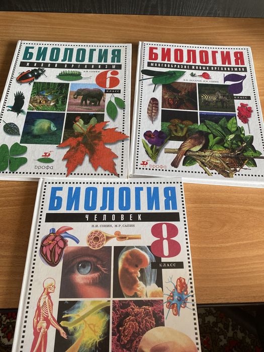Глобус, энциклопедии, словари