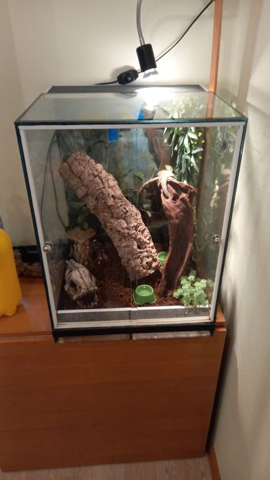 Аквариумы и террариумы