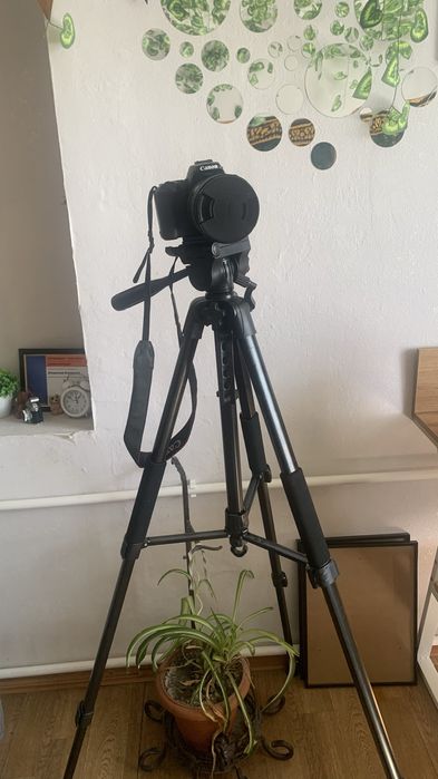 Фотоаппарат Canon 250d