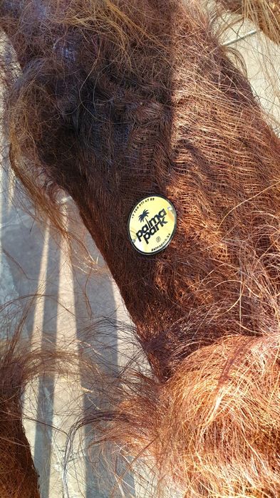 Искусственные пальмы