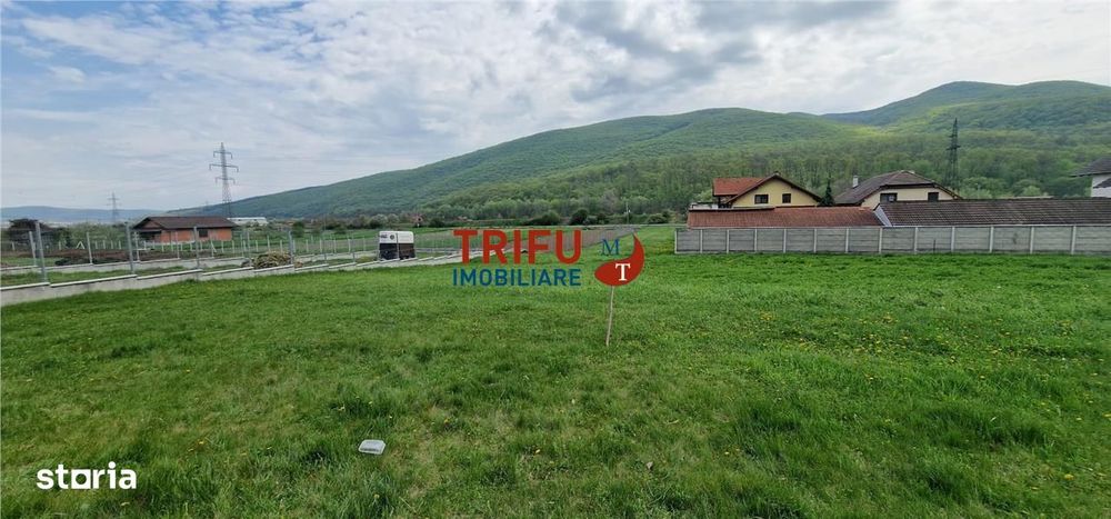 Teren de vis la liziera pădurii – liniște, natură și aer curat!