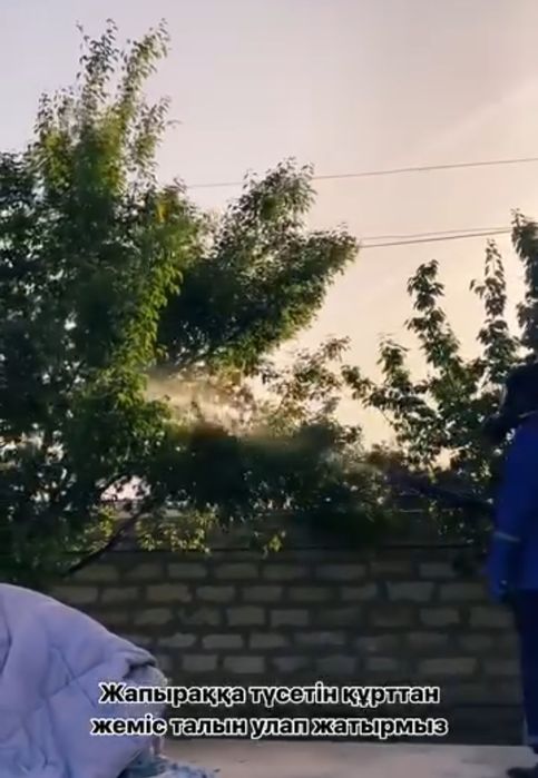 Дезинфекция услуги.