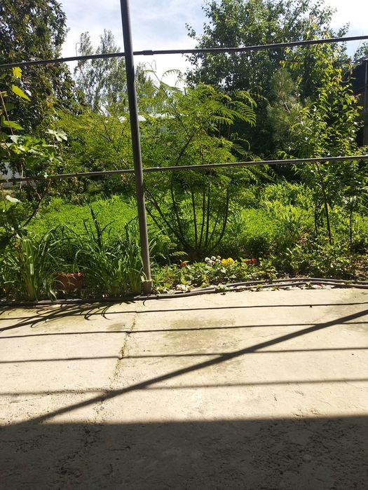 6 sotik yer yangi toshmini postida 5_6 kilametir kriladi kelishamiz