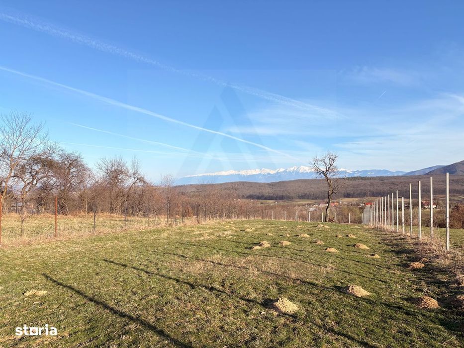 Teren 809 mp intravilan în Tropinii Noi zonă în plină dezvoltare