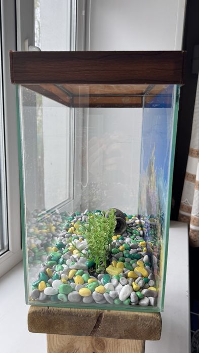 Аквариум 25 литров