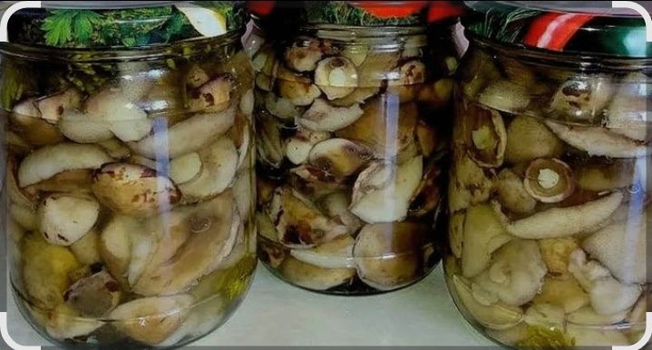 Продам грибы,маслята.