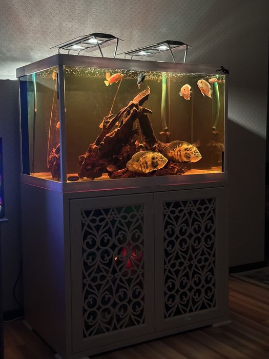 Продам шикарный аквариум 500 л !