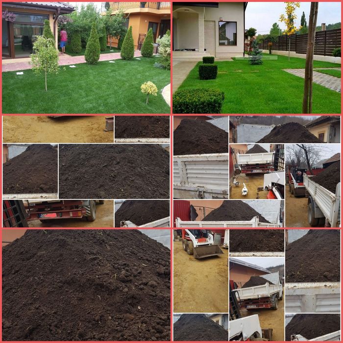 Pamant de gazon. Gradina florii pomii mranita pământ vegetal