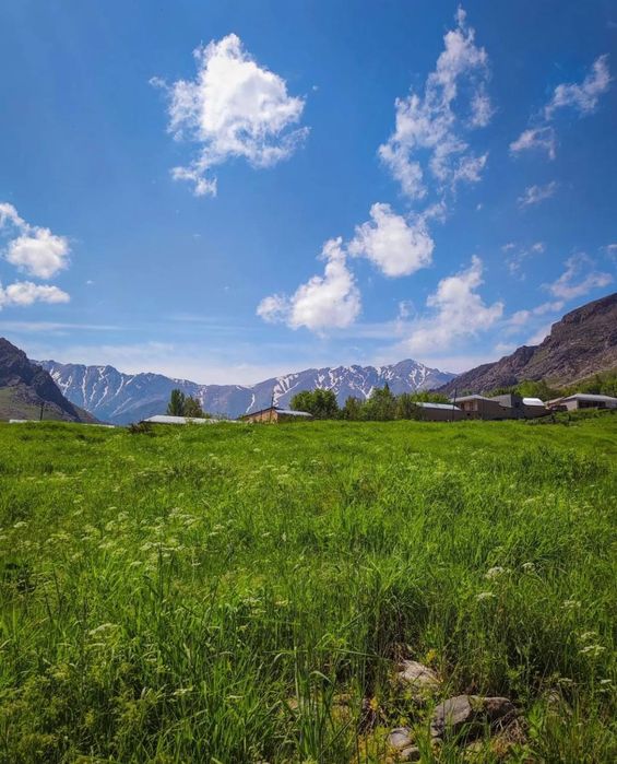 Самарканд - чарующий город современного Узбекистана туры и экскурсии.