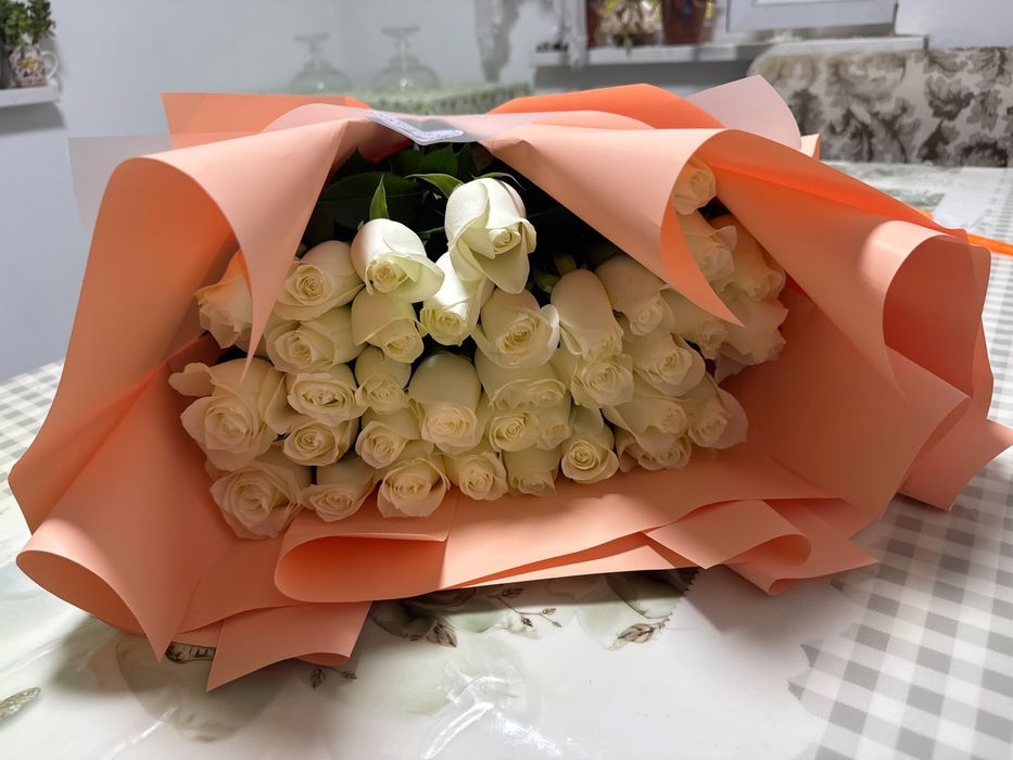 Гурдер арзан багада