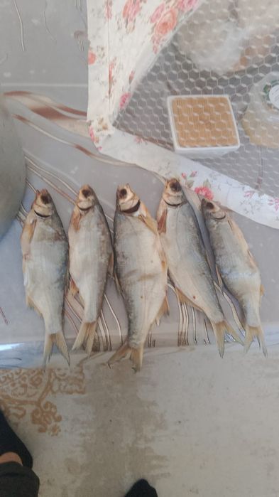 Балық балық сатлымда