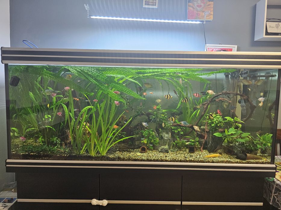 Acvariu complet 450L
