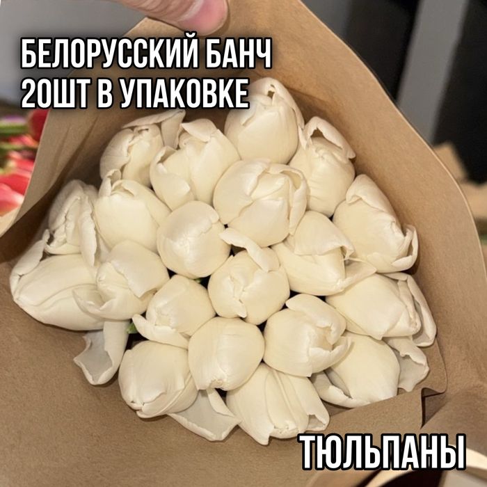 Белорусский тюльпан, тюльпан оптом, тюльпаны