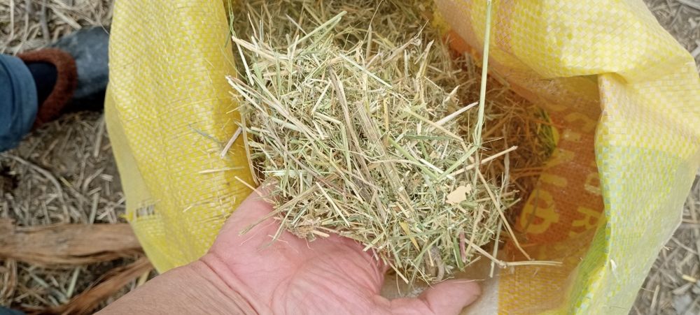 Куритилган бедани майдалангани ДКУ килинган сотилади