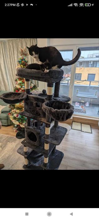 Катерушка за котки