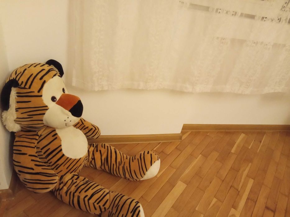 Безпрахово циклене на естествен паркет и дюшеме - обл. Хасково