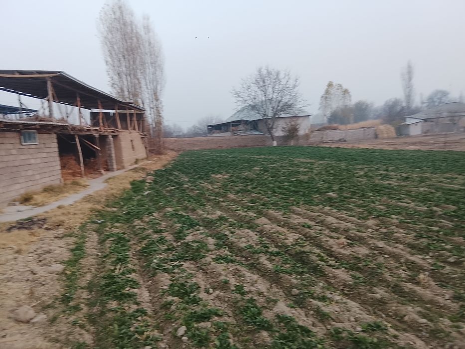 Йол устидан 8 сотих йеримиза сотуга чикти