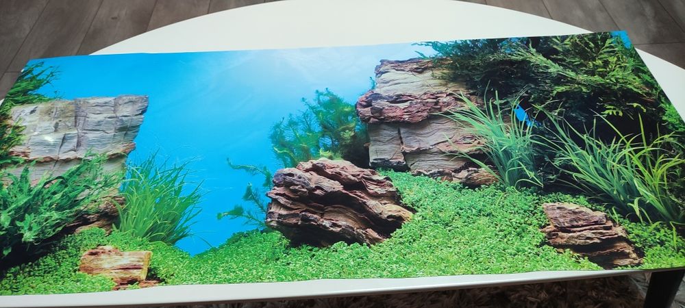 Filtru intern Juwel Bioflow + Filter Grid + Juwel  Aqua Heat 200w