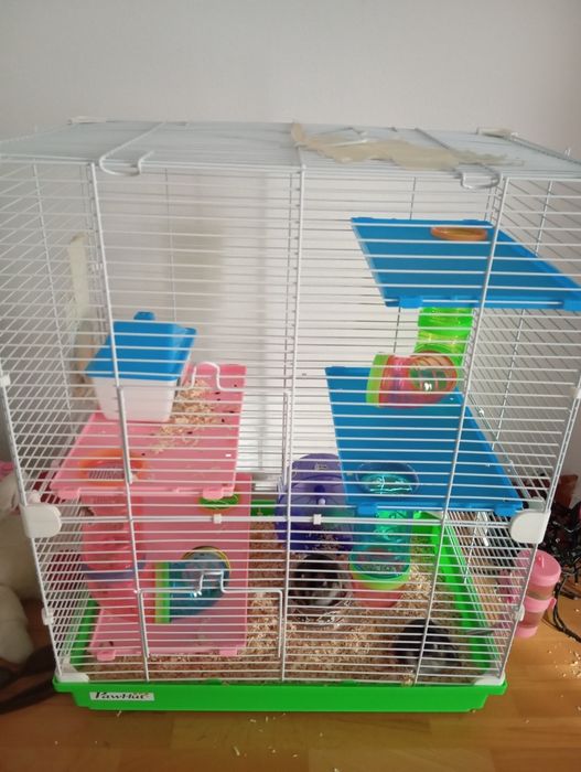 Hamsteri plus cușcă
