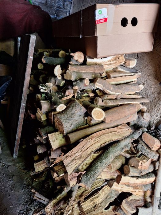 Мевали дарахтдан чиккан утин  сотилади