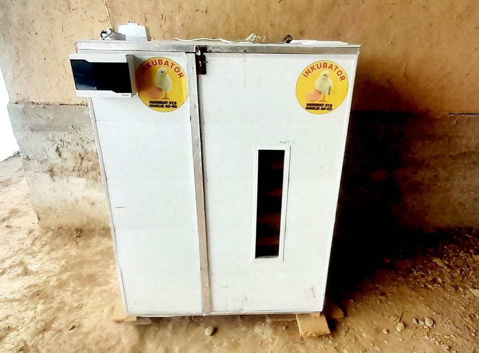 1000 талик Инкубатор сотилади, ўқинг