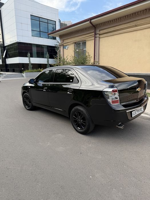 Kobild 2025 yil 3000 km yurgan midnayd
