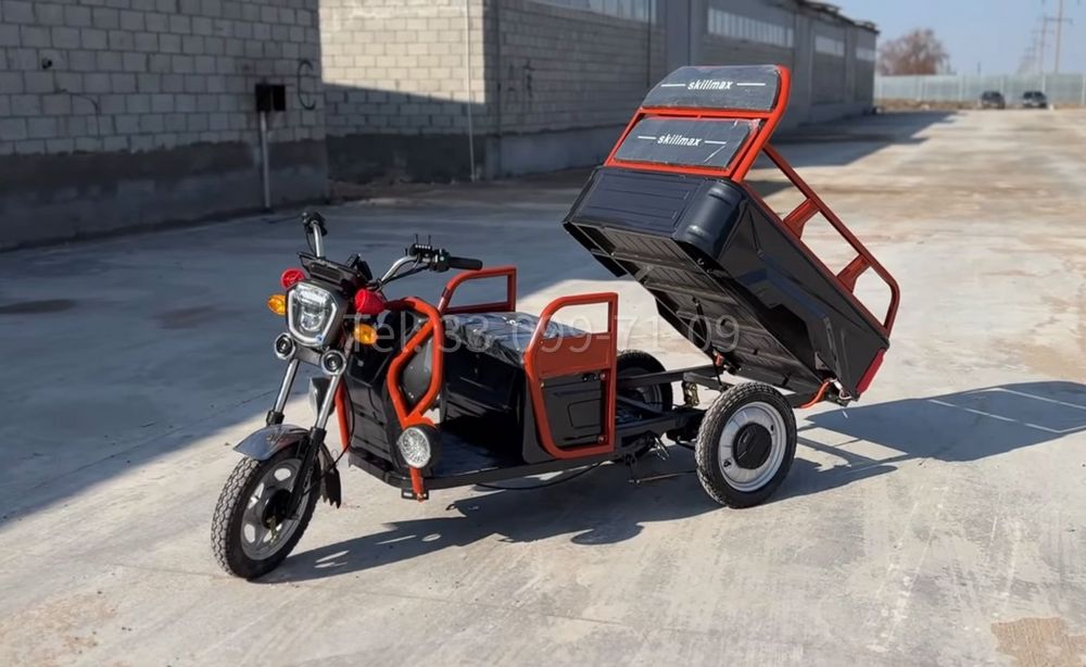 Электрогрузовик Трицикл муравей трудолюбивый 1000 Вт до 300кг