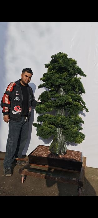 Декоратся 3D йасаб берамиз