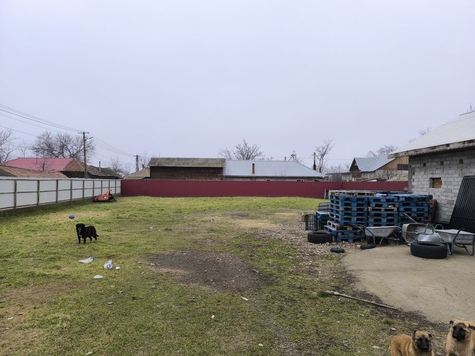 Casă de vânzare Maxenu Buzau