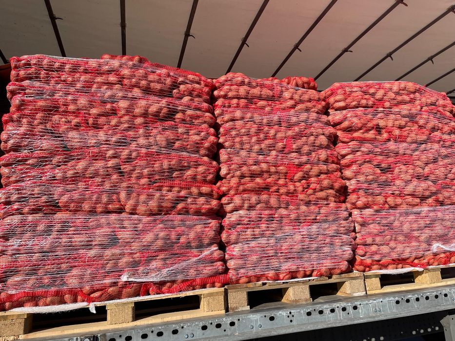 Cartof alb-rosu Franța lux