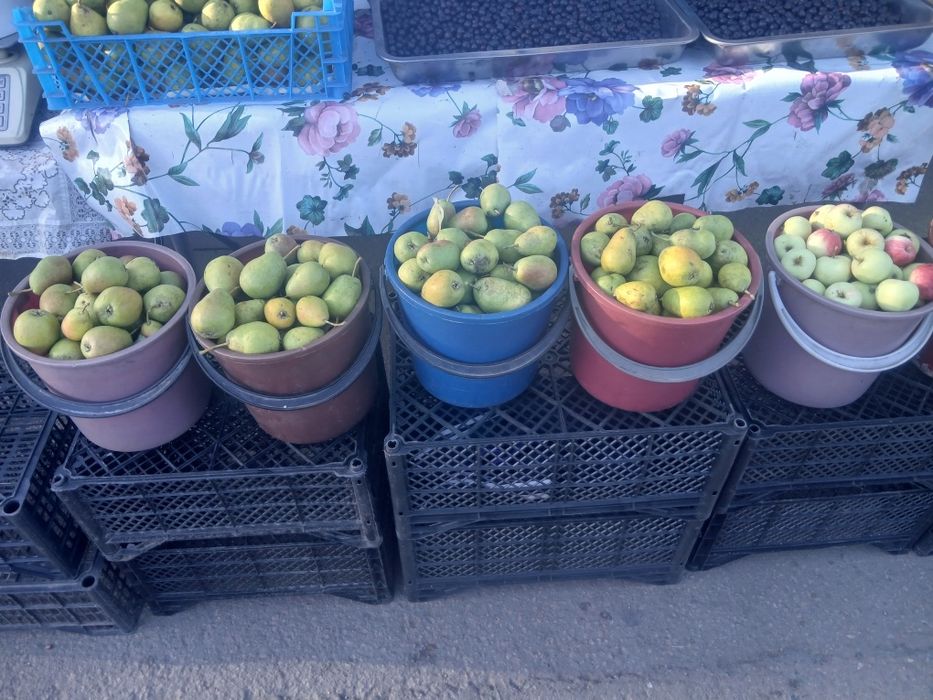 Продам домашние груши ,яблоки