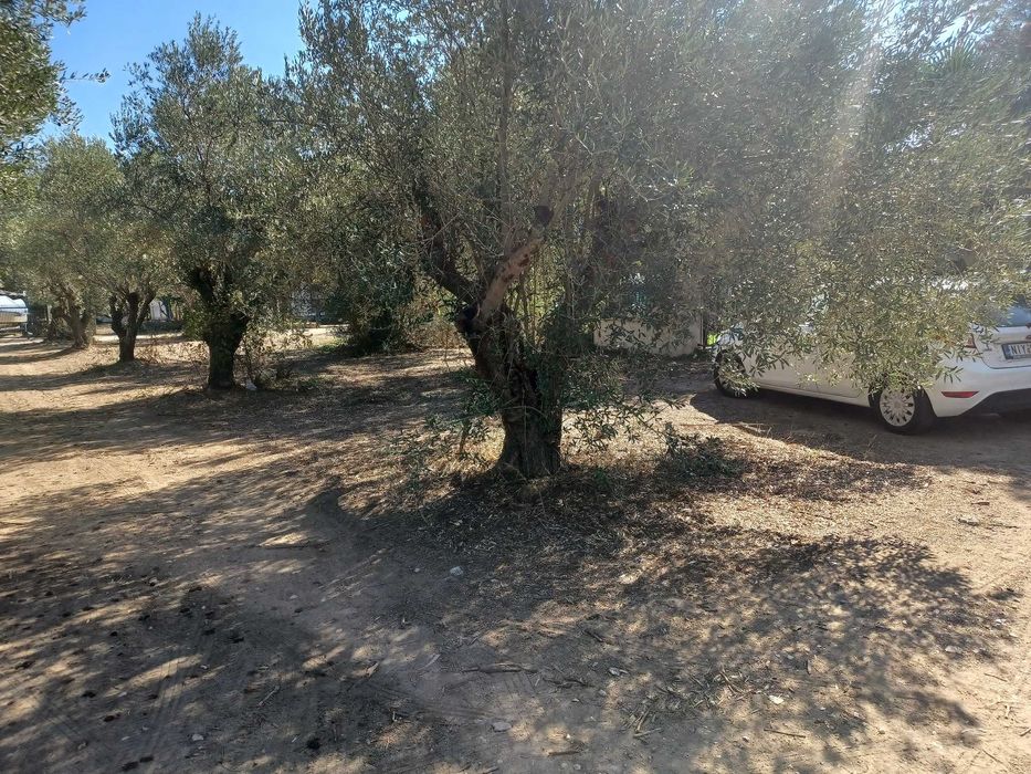 Продава се парцел 461 м2 на 2 улици в регулация в Неа Врасна, Гърция