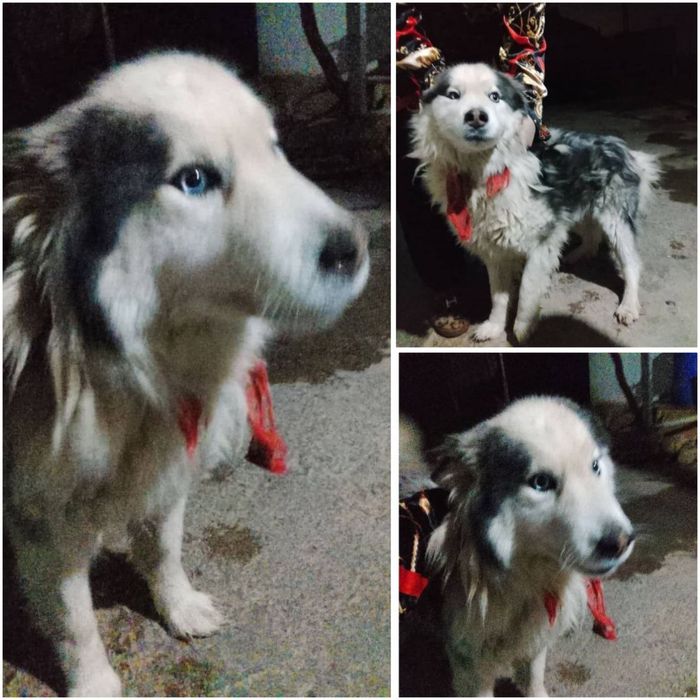 Мальчишка ищет дом!