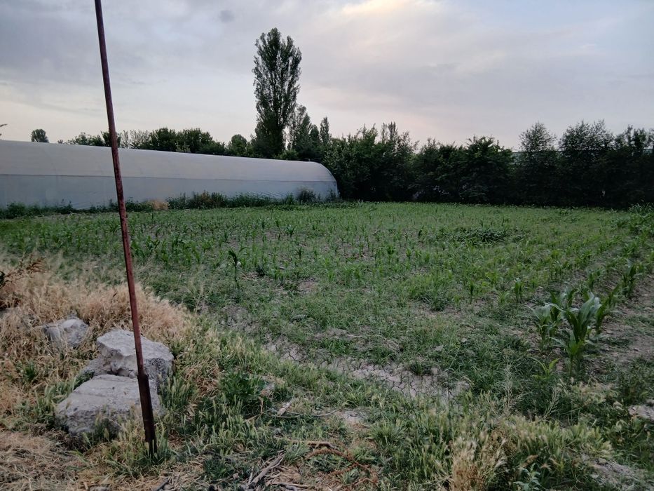 Yer uchastka sotiladi