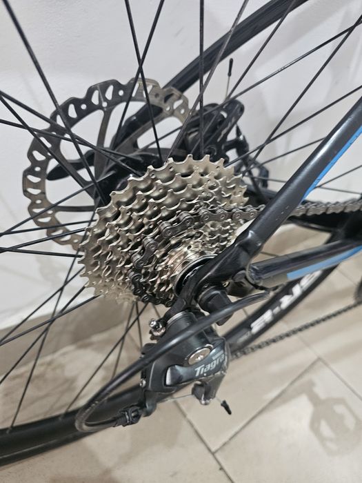 Cursiera Giant Contend 2