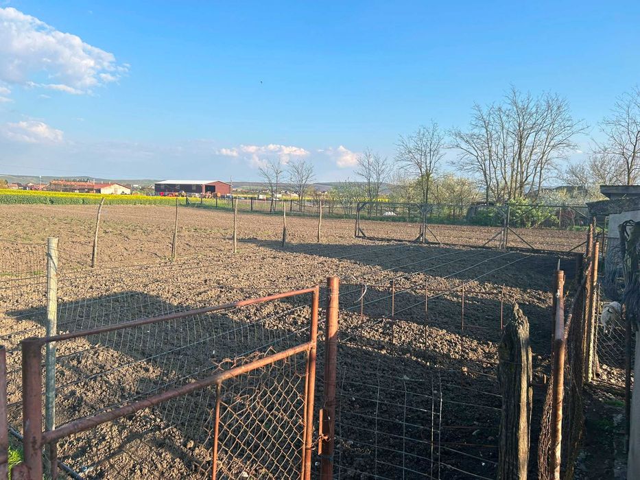 Casă de vânzare în sat Sfântu Gheorghe, jud. Mureș – 15 ari teren