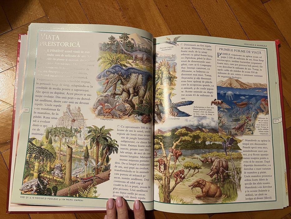 Enciclopedia Stiintelor pentru copii