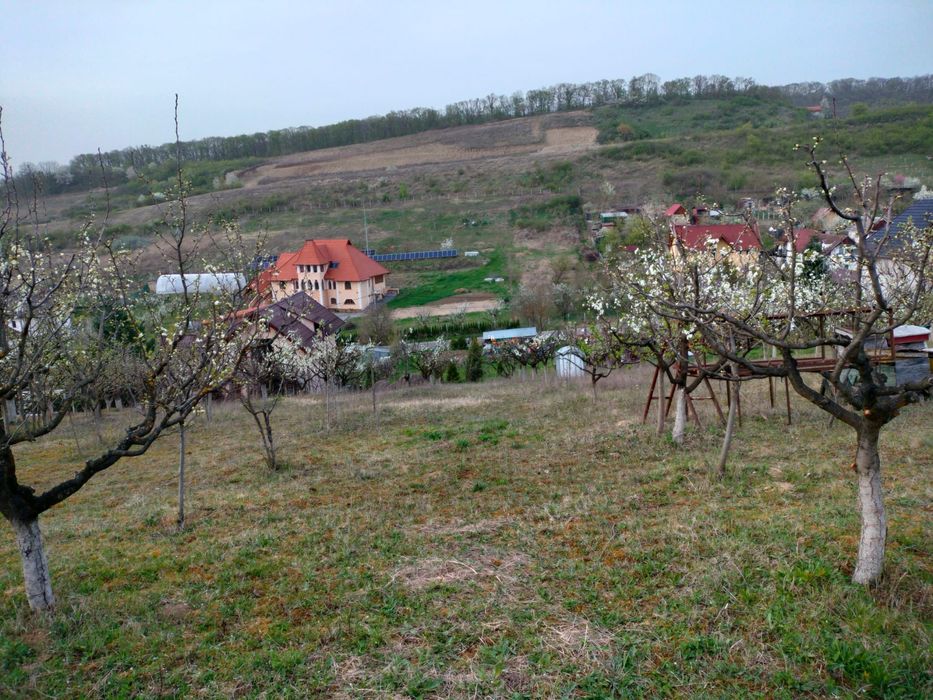 Teren intravilan 3000mp Corunca