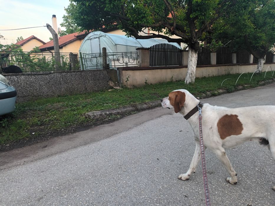 Откраднат/изгубен