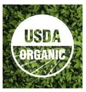 Chocolate Carolina Reaper най-люта чушка в света Гинес Каролина Рипър