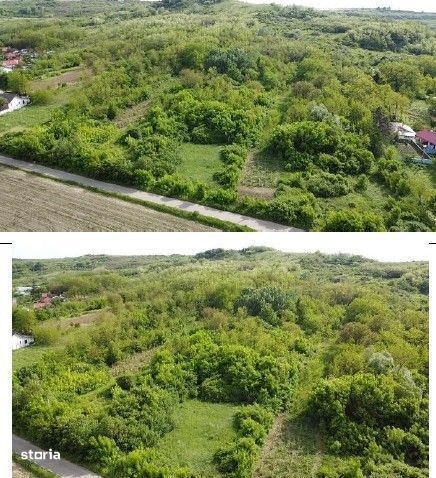 Teren intravilan Balteni, cota parte 1/4 ; ID: R3155870