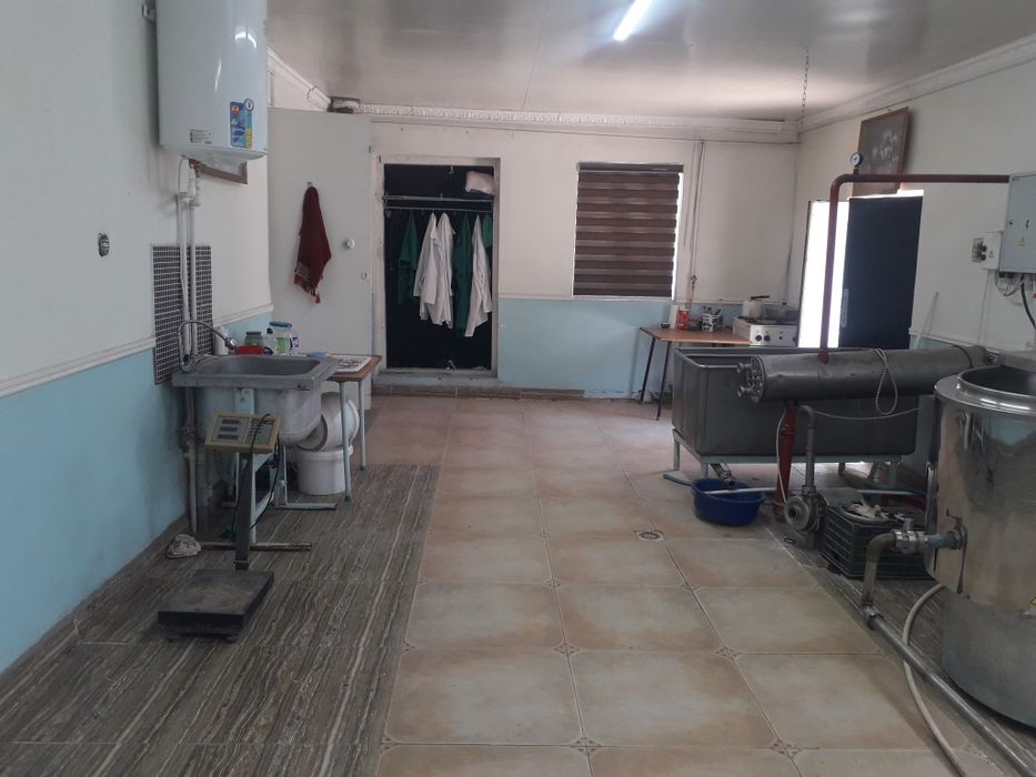 Сутни кайта ишлаш сехи