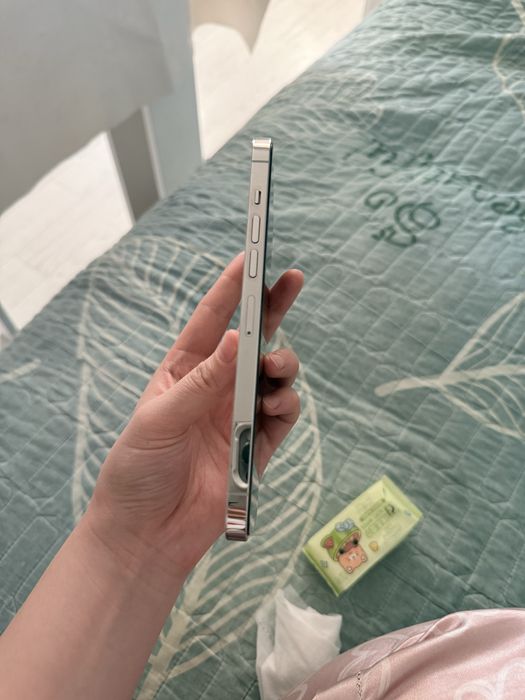 Iphone 13 pro max 256 gb